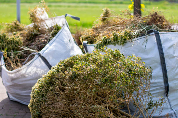 Best Yard Cleanup Services  in Reedurban, OH